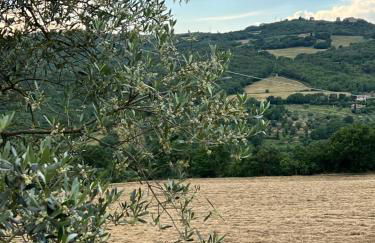 Agriturismo San Pietro - Foto 26