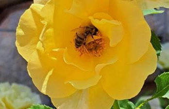 Villa Christina - Foto 36