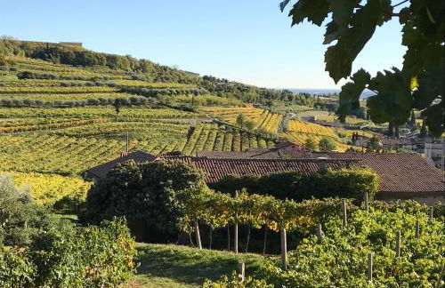 Corte Lavarini The Magic At Sight - Foto 26