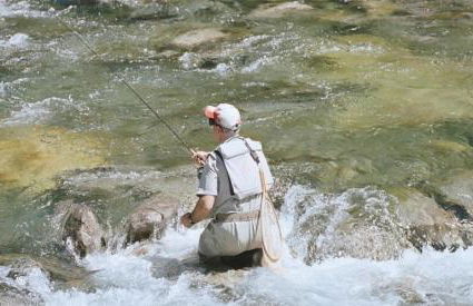 Apartamentos Pessets Adelaida - Foto 37