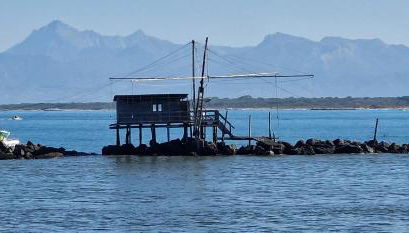 House Orilia in the green and by the sea - Foto 3