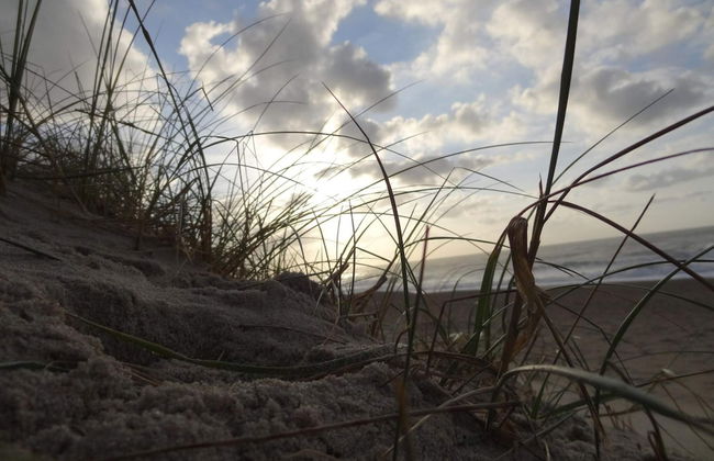 6 Person Holiday Home in Skibby-by Traum - Foto 26