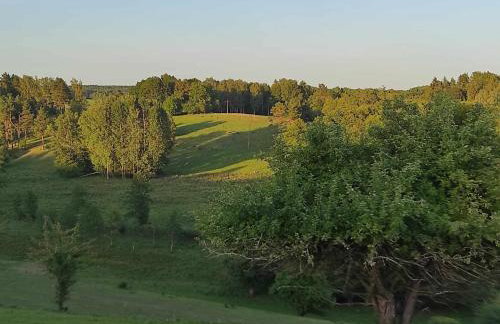 Jabłkowo-na skraju Puszczy Boreckiej ŚNIADANIA W CENIE - Foto 7