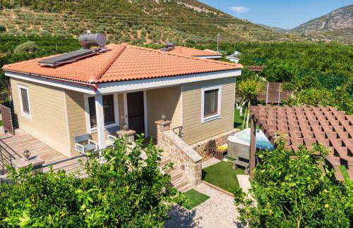 Desa Green Homes - Photo 6