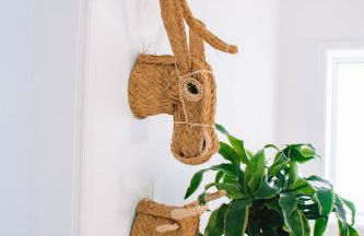 Just Like Home - Guarda Rios - Foto 21