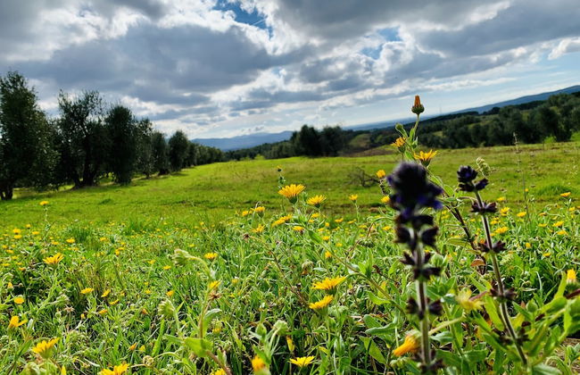 Tenuta Agricola Fraschiera - Foto 73