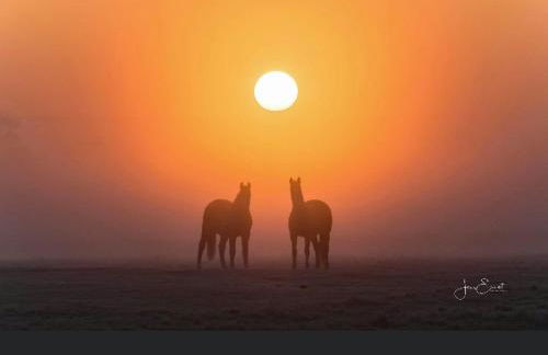 Gnaden- und Ferienhof Saale Wittgenstein in the middle of gar nix - Foto 75