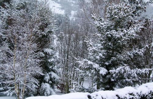Maison charmante Le Malzieu, jardin - Foto 29