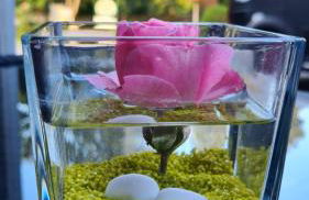 stay!apart Gieckau - Foto 22