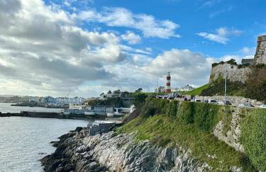Raleigh Waterside apartment - The Barbican, Plymouth - Foto 6