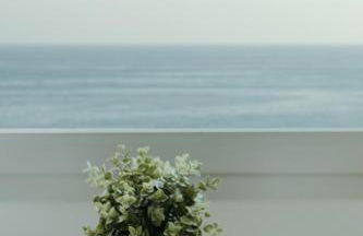 Vimar Algarrobo Costa - Photo 6