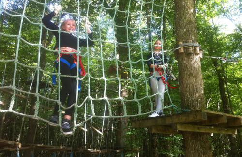 Le Terrier Blanc - Foto 12