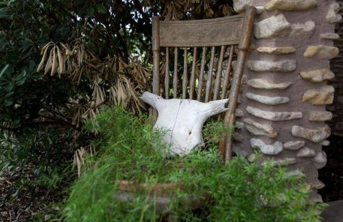 Lovely Cottage Rental with Waterfall on San Gabriel River near Austin, Texas - Foto 21