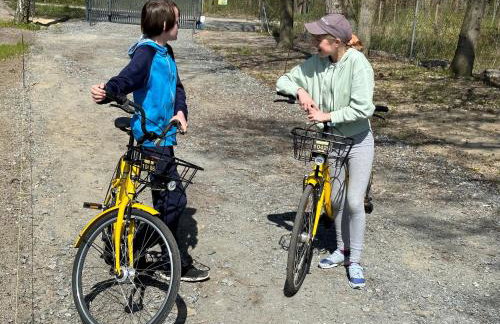 Morski Las - Foto 40