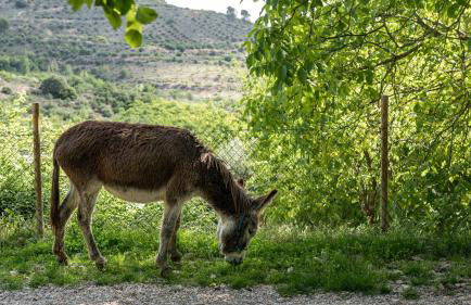 Casa Rural La Chocolateria - Foto 54