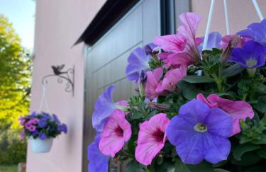 Agriturismo La Rondinella - Photo 46