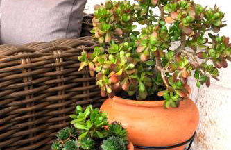 Sani Eclectic Family Villa, private garden - Foto 48