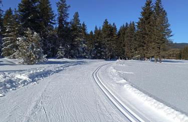 Studio Villard-de-Lans - Foto 18