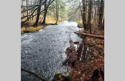 Roscoe Cottage Pet Friendly - Foto 36