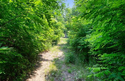 Crystal Mountain Charm - Foto 21