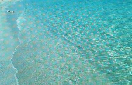 Casa De S'Arca - Foto 7