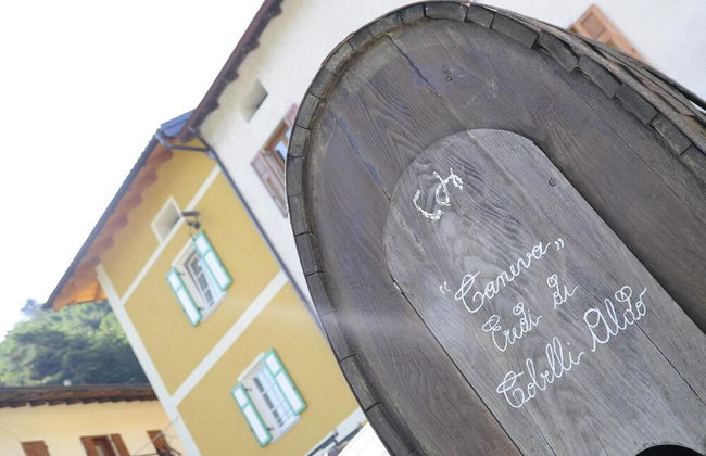 Agriturismo Eredi di Cobelli Aldo - Foto 55