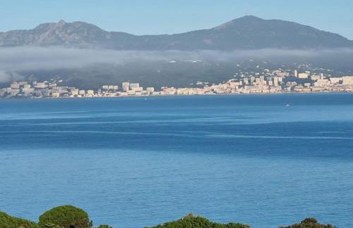 Superbe appartement T3 face mer baie Ajaccio - Foto 17