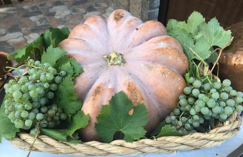 Agriturismo a casa di Susanna - Foto 35