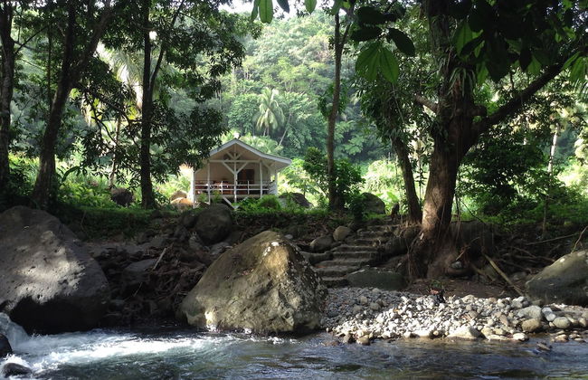 Citrus Creek Plantation - Photo 24