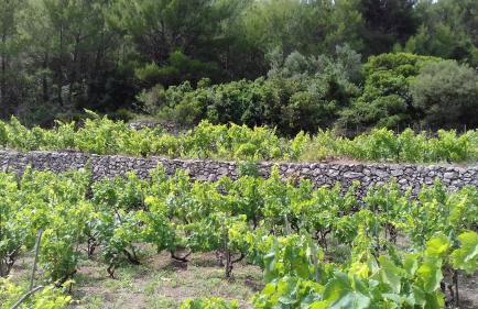 Mediterranean stone house - Foto 44