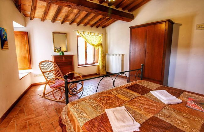 Bellavista farm of Quercini Maurizio - Foto 34