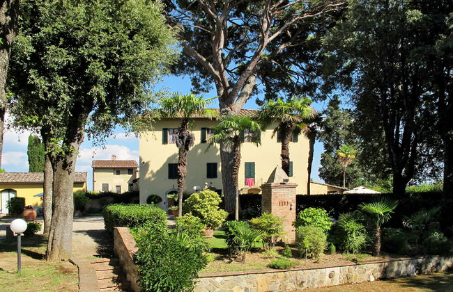 Giuggiolo - Giuggiolo 5 - Foto 2