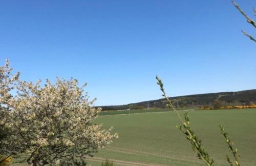 Lovely 1-bed House in Fochabers, Scotland - Foto 31