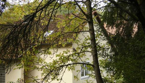 Goldener Fuchs in Moschendorf - Foto 3