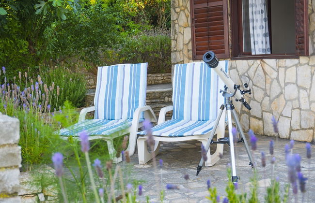 Victorious VIScovery Green - Foto 1