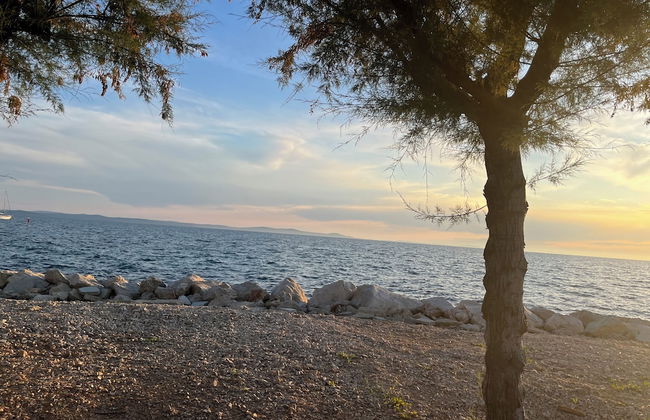 Ap 400m From Pebble Beach, Barrier-free - Foto 15