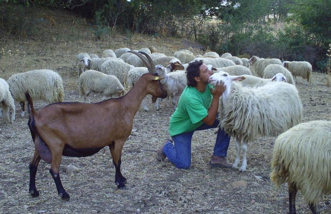 Agriturismo San Pietro - Photo 34