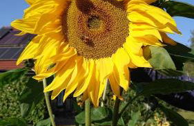 Ferienhaus im Seedorf im Münsterland Warendorf - Photo 13