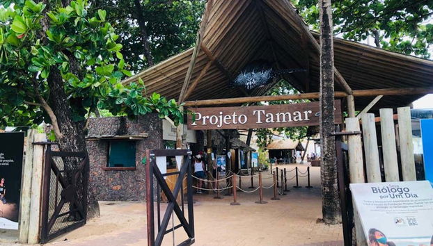 Tamar Project of Praia do Forte