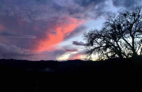 Paso Robles Wine Country Ranch House & Firepit - Foto 33