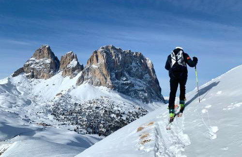 Dolomites Chalet Niuasi - Photo 68