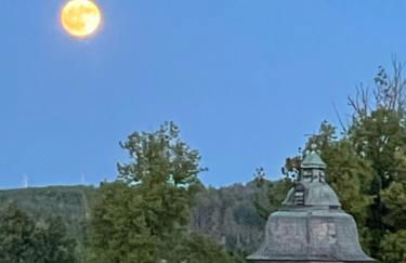 Ferienwohnung im Chaletstil Schlossblick 51 qm Wellness Fitness Sauna Bergrödelhof - Foto 2