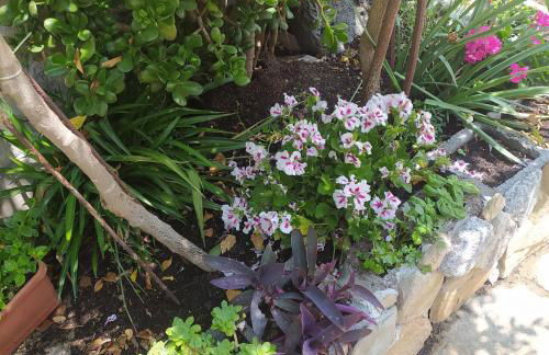 ANTICA BAITA - Foto 41