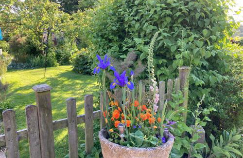 Simpers Drift, Great Glemham - Foto 24