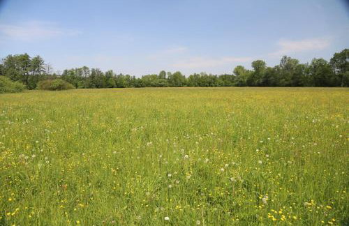 Gospodarstwo Agroturystyczne Stary Młyn Wilczkowice - Foto 31
