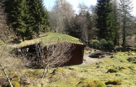 Our Log House in the woods - Photo 16