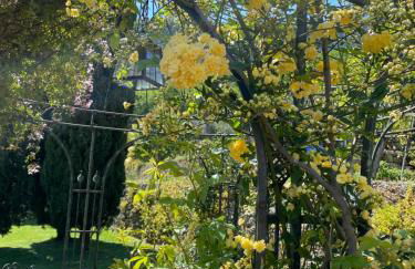 CASA VIRGINIA - Foto 29