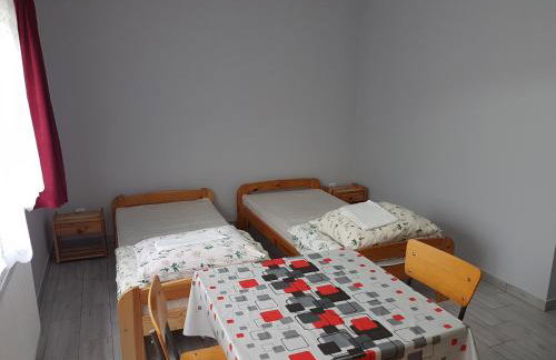 Newland Wójtowicz - Foto 35