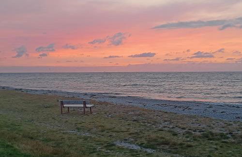 "Giseldas Rosen" - Allergikerfreundliche Ferienwohnung mit Wintergarten - Foto 27