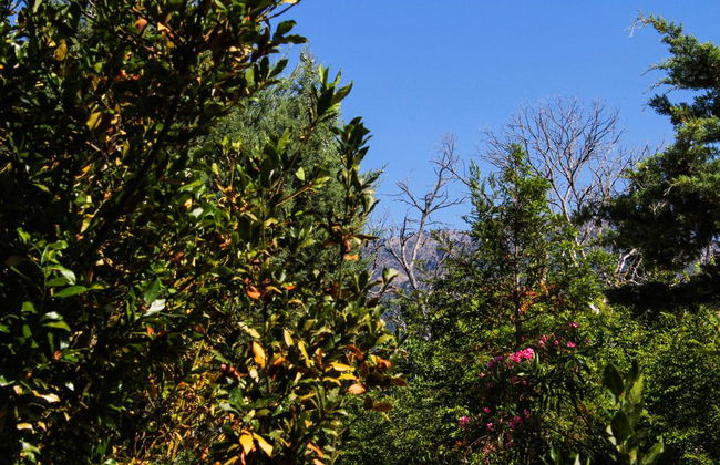 Nireas Resort Corfu - Foto 19